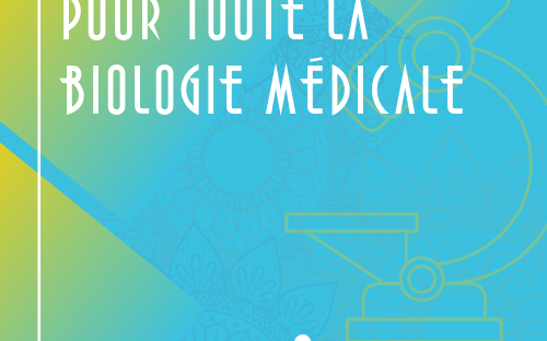 Vignette article site JIB (2)