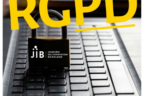 Vignette article site JIB (6)