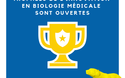 Vignette article site JIB (10)