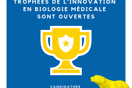 Vignette article site JIB (10)