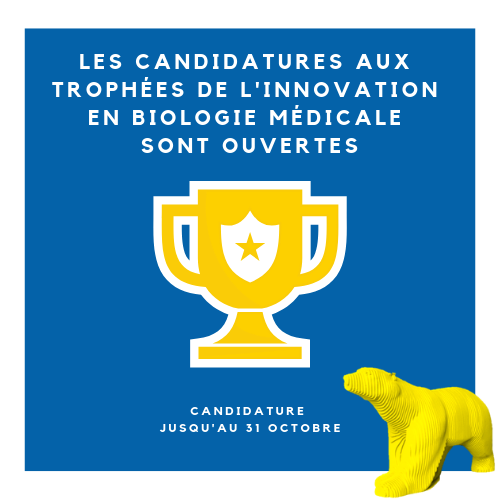 Vignette article site JIB (10)