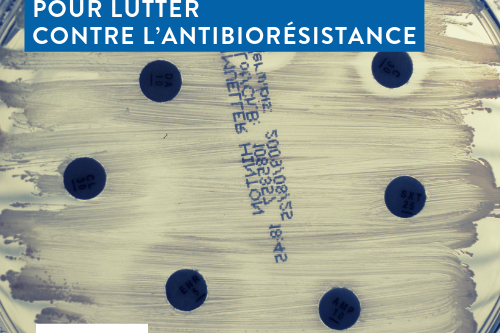 Vignette article site JIB (14)