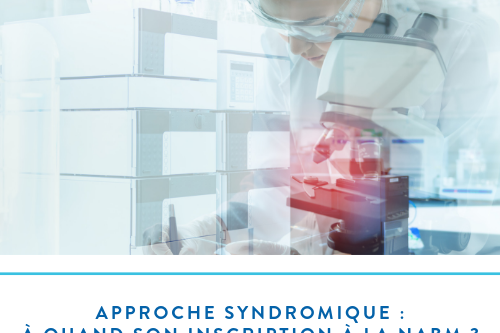 Vignette article site JIB (16)