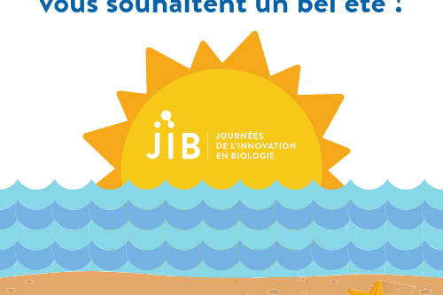 Vignette article site JIB (19)