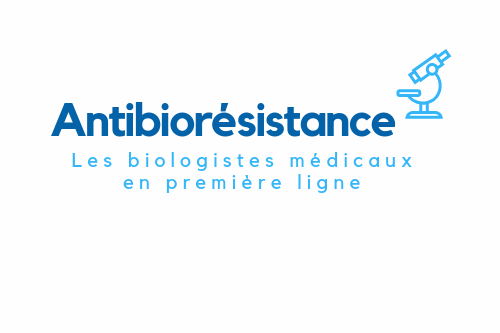 Copy of Vignette article site JIB