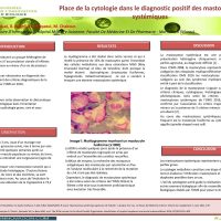 POSTER_17_-_Place_de_la_cytologie_dans_le_diagnostic_positif-des_mastocytoses_systemiques-1-1-200x200